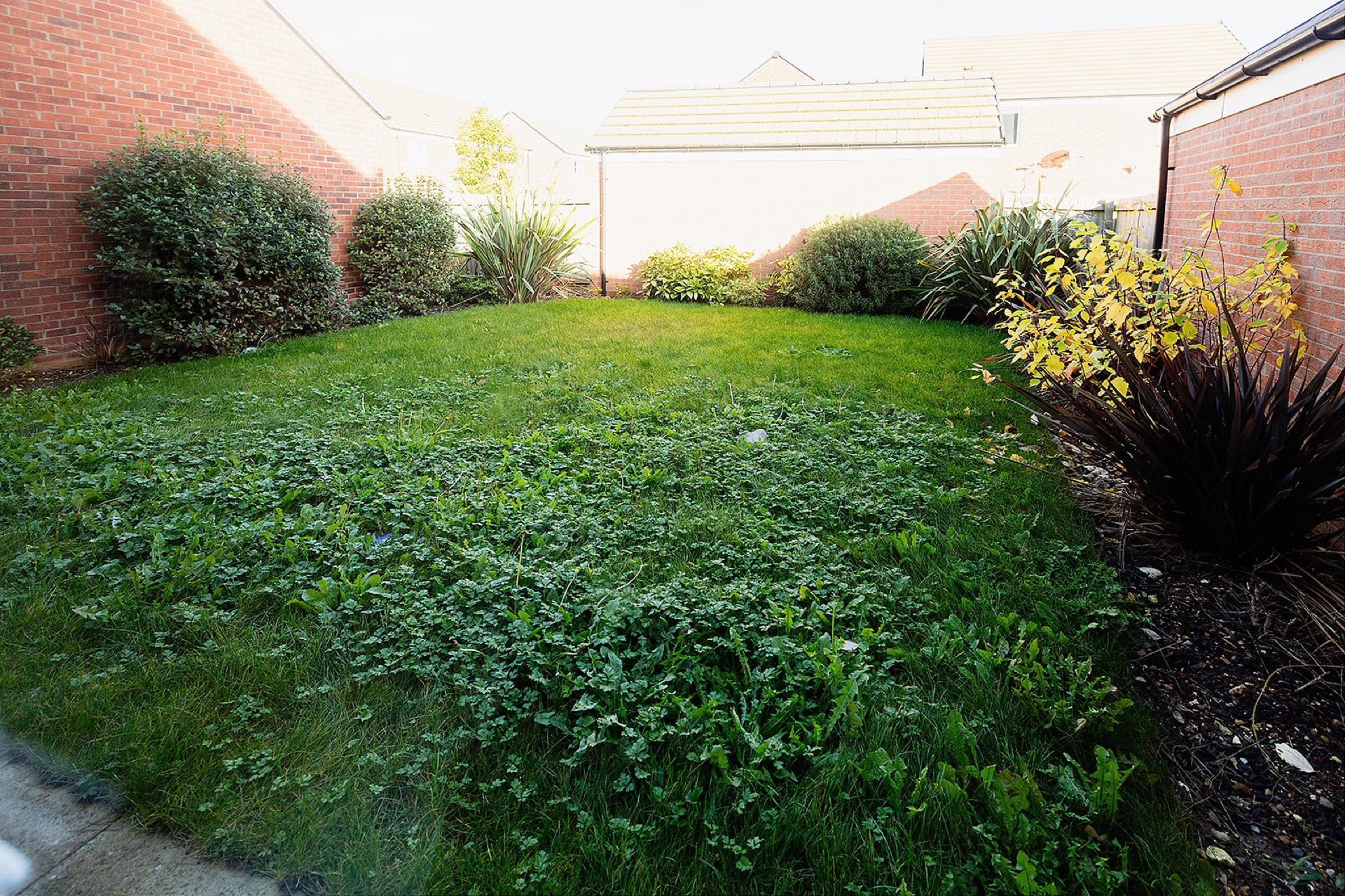 Inside an Ideal Social Care home, photo 8